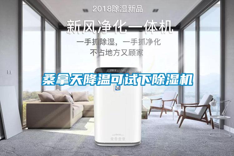 桑拿天降溫可試下除濕機(jī)
