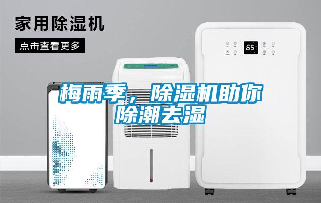 梅雨季，除濕機助你除潮去濕