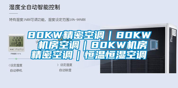 80KW精密空調(diào)｜80KW 機(jī)房空調(diào)｜80KW機(jī)房精密空調(diào)｜恒溫恒濕空調(diào)