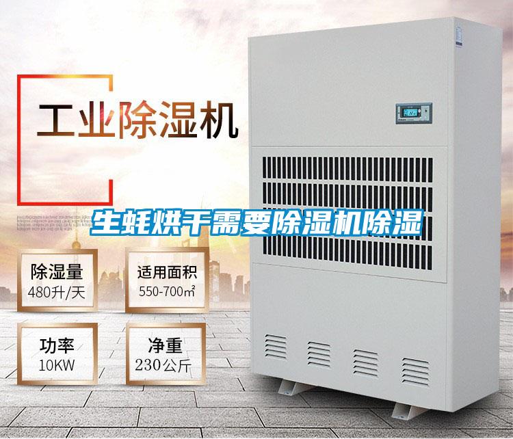 生蠔烘干需要除濕機除濕