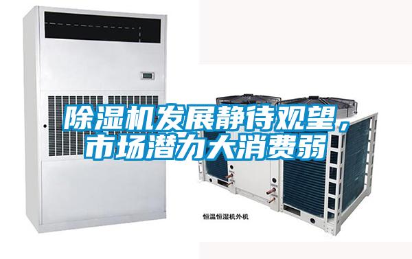 除濕機發展靜待觀望，市場潛力大消費弱