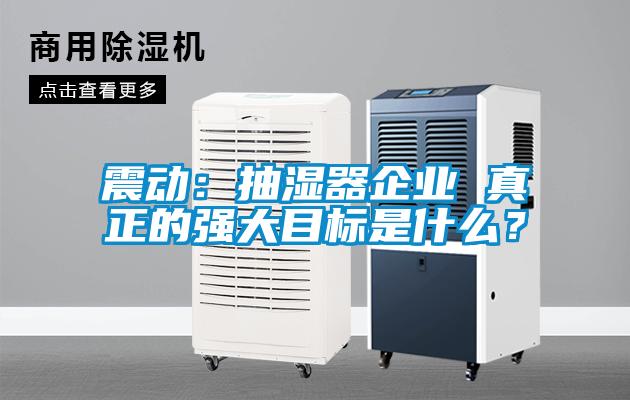 震動(dòng)：抽濕器企業(yè) 真正的強(qiáng)大目標(biāo)是什么？