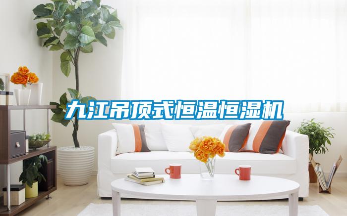 九江吊頂式恒溫恒濕機(jī)