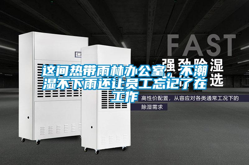 這間熱帶雨林辦公室，不潮濕不下雨還讓員工忘記了在工作