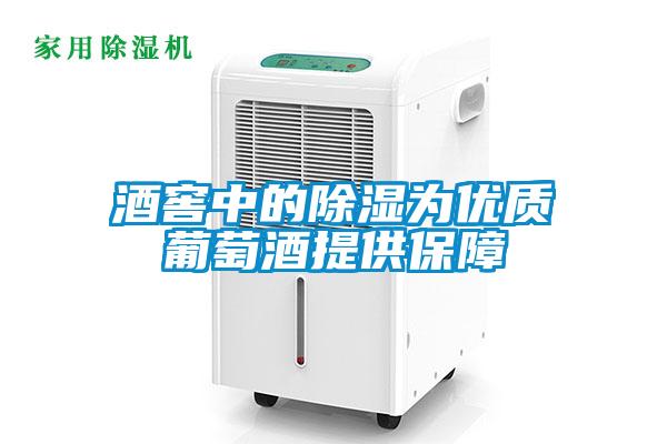 酒窖中的除濕為優質葡萄酒提供保障