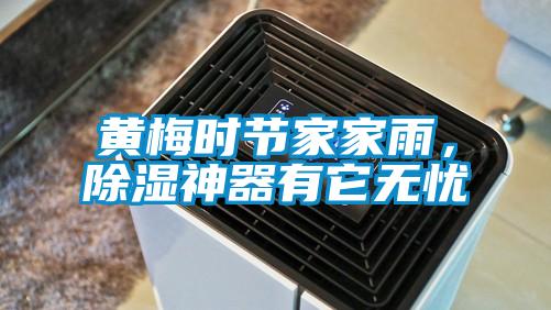 黃梅時節(jié)家家雨，除濕神器有它無憂