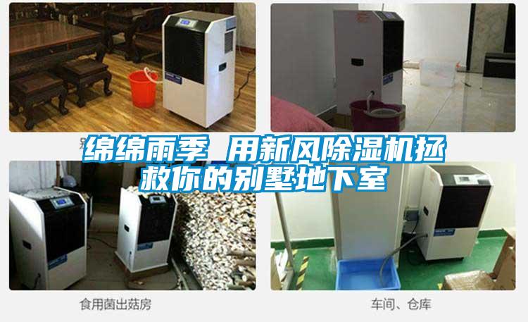綿綿雨季 用新風除濕機拯救你的別墅地下室