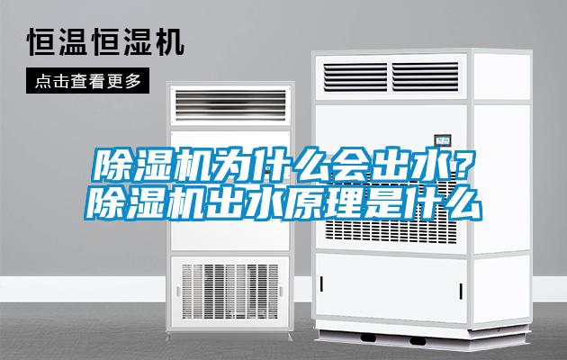 除濕機為什么會出水？除濕機出水原理是什么