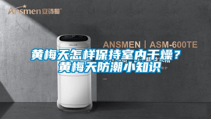 黃梅天怎樣保持室內干燥? 黃梅天防潮小知識