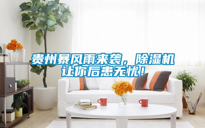 貴州暴風雨來襲，除濕機讓你后患無憂！