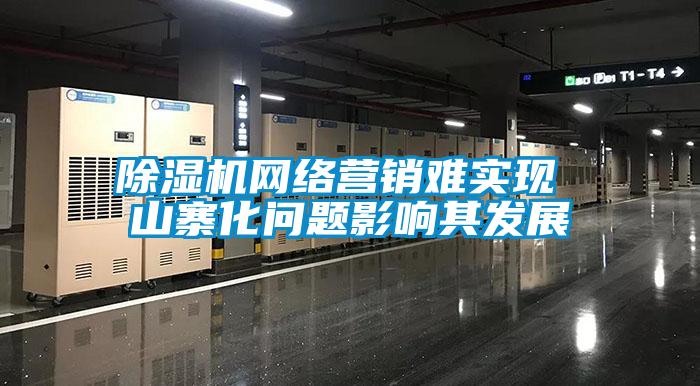 除濕機網絡營銷難實現 山寨化問題影響其發展