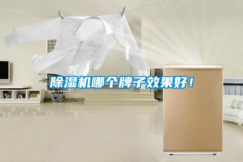 除濕機哪個牌子效果好！