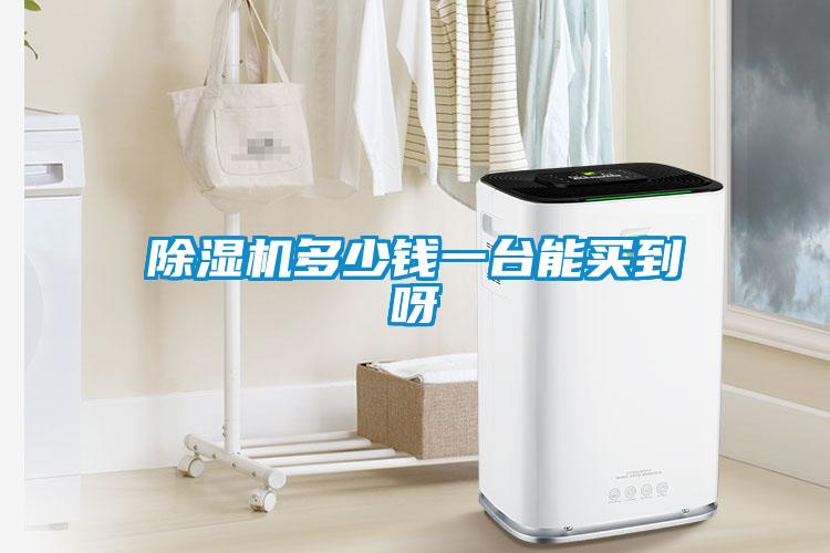 除濕機多少錢一臺能買到呀