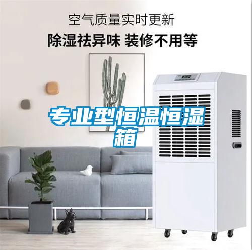 專業(yè)型恒溫恒濕箱