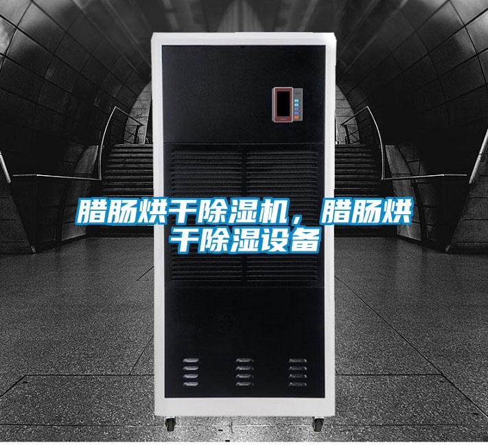 臘腸烘干除濕機，臘腸烘干除濕設(shè)備