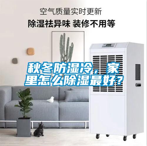 秋冬防濕冷，家里怎么除濕最好？