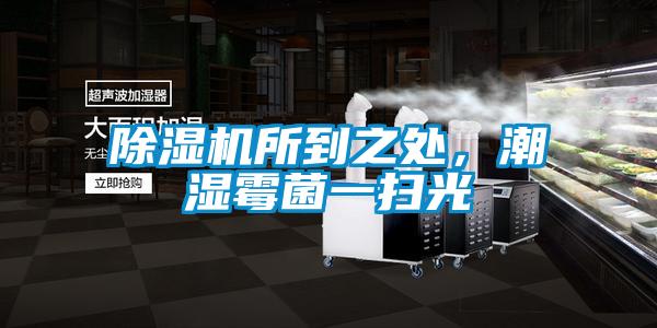 除濕機所到之處，潮濕霉菌一掃光