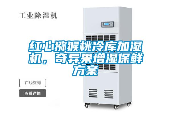 紅心獼猴桃冷庫加濕機，奇異果增濕保鮮方案