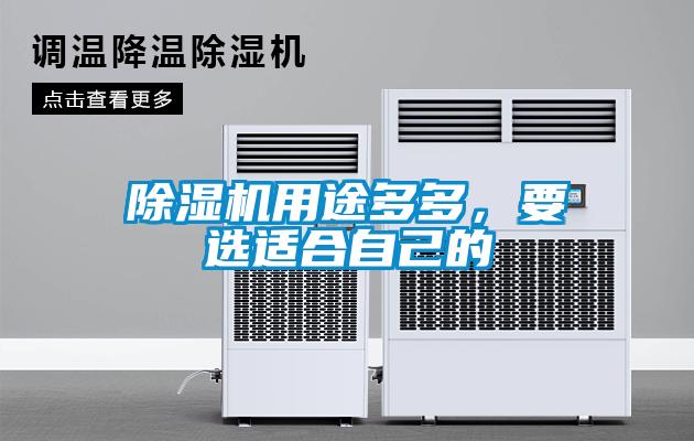 除濕機用途多多，要選適合自己的