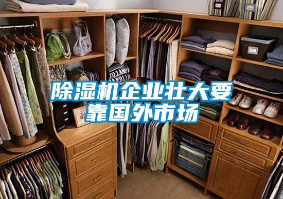 除濕機企業(yè)壯大要靠國外市場