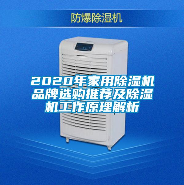 2020年家用除濕機品牌選購?fù)扑]及除濕機工作原理解析