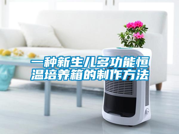 一種新生兒多功能恒溫培養箱的制作方法