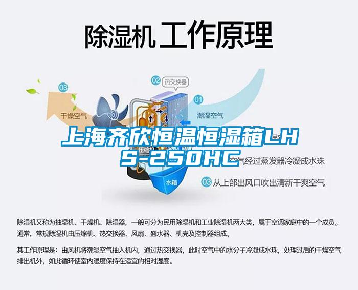 上海齊欣恒溫恒濕箱LHS-250HC