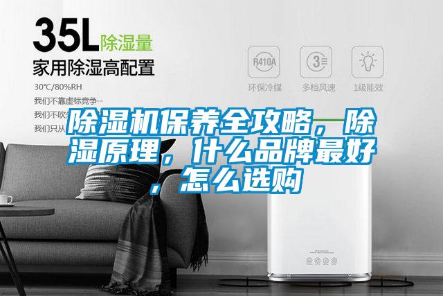 除濕機保養全攻略，除濕原理，什么品牌最好，怎么選購
