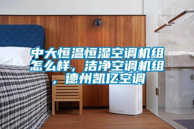 中大恒溫恒濕空調機組怎么樣，潔凈空調機組，德州凱億空調