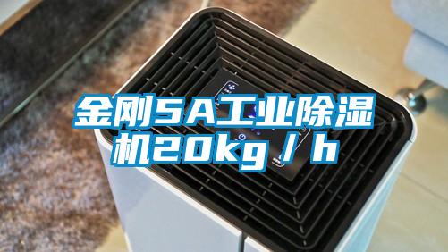 金剛5A工業(yè)除濕機20kg／h