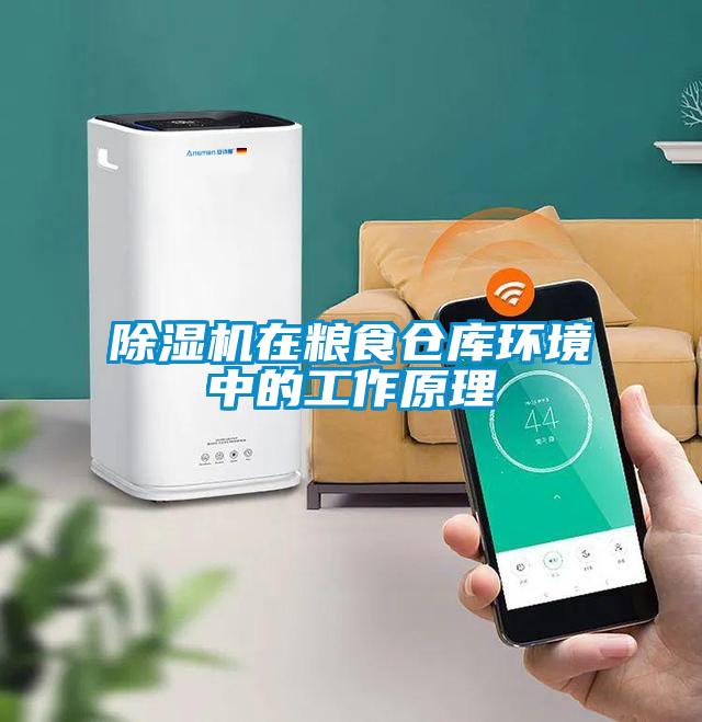 除濕機在糧食倉庫環(huán)境中的工作原理
