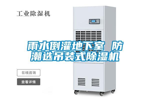 雨水倒灌地下室 防潮選吊裝式除濕機
