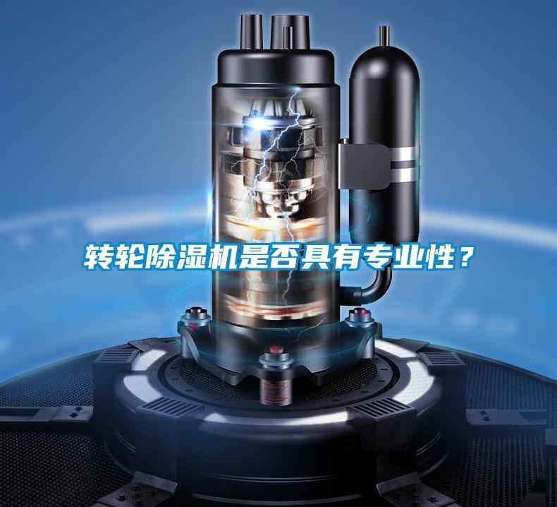 轉(zhuǎn)輪除濕機(jī)是否具有專業(yè)性？