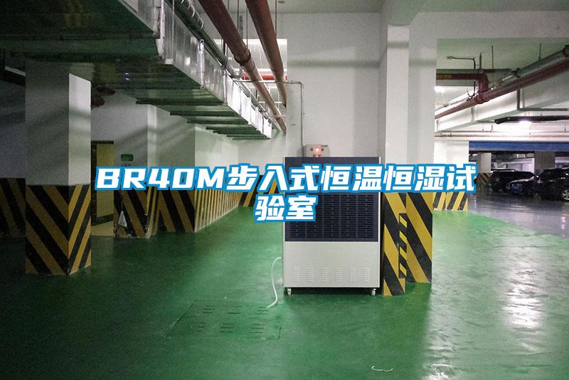 BR40M步入式恒溫恒濕試驗(yàn)室