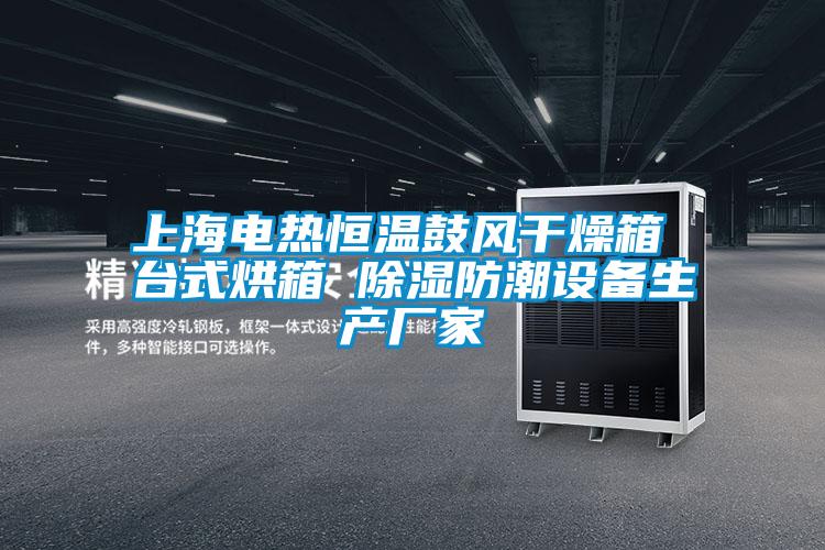 上海電熱恒溫鼓風(fēng)干燥箱 臺(tái)式烘箱 除濕防潮設(shè)備生產(chǎn)廠家