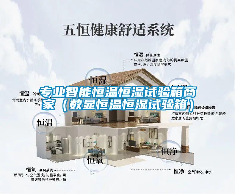 專業智能恒溫恒濕試驗箱商家（數顯恒溫恒濕試驗箱）