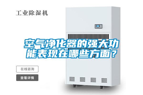 空氣凈化器的強大功能表現在哪些方面？