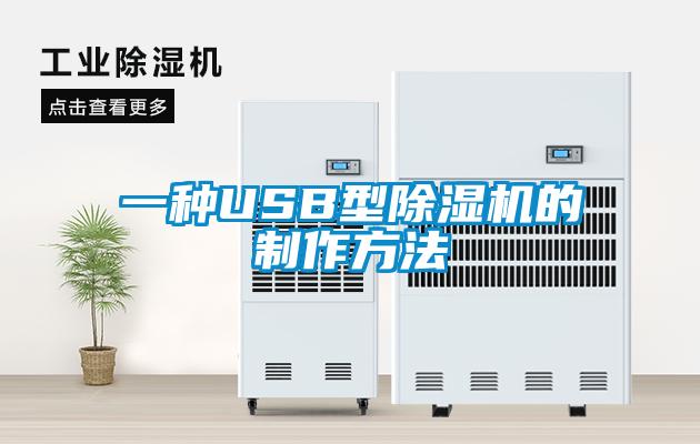 一種USB型除濕機的制作方法