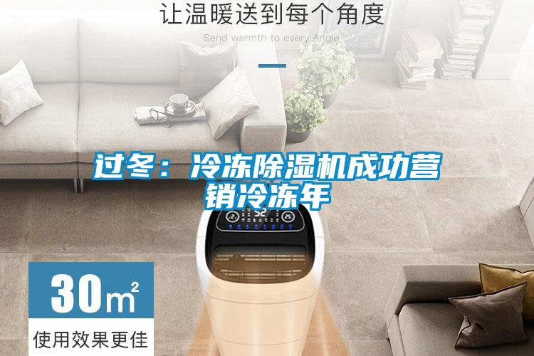 過冬：冷凍除濕機成功營銷冷凍年