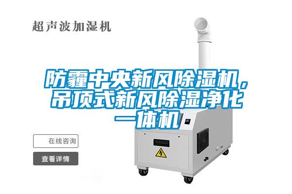 防霾中央新風除濕機，吊頂式新風除濕凈化一體機