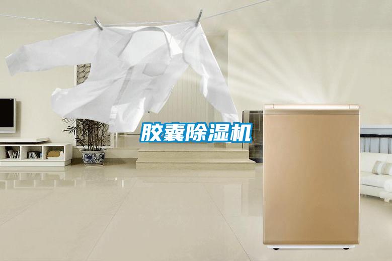 膠囊除濕機