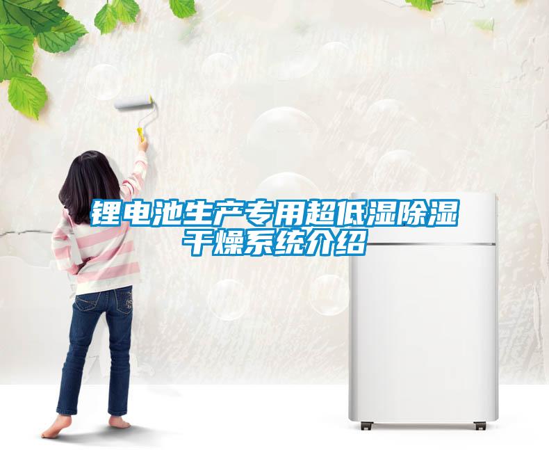 鋰電池生產專用超低濕除濕干燥系統介紹