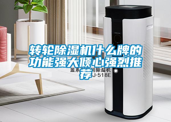 轉輪除濕機什么牌的功能強大傾心強烈推薦