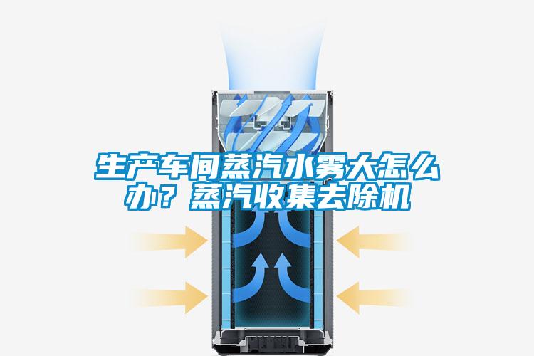 生產車間蒸汽水霧大怎么辦？蒸汽收集去除機