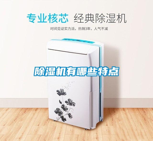 除濕機(jī)有哪些特點(diǎn)