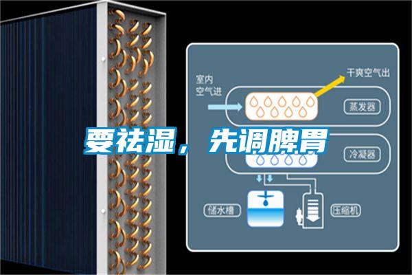 要祛濕，先調(diào)脾胃