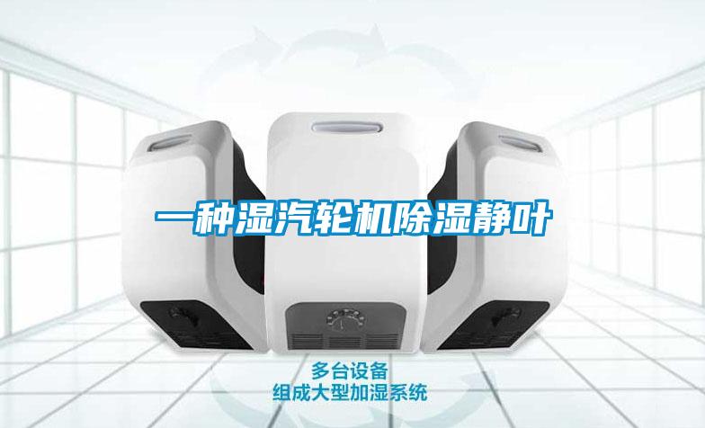 一種濕汽輪機(jī)除濕靜葉