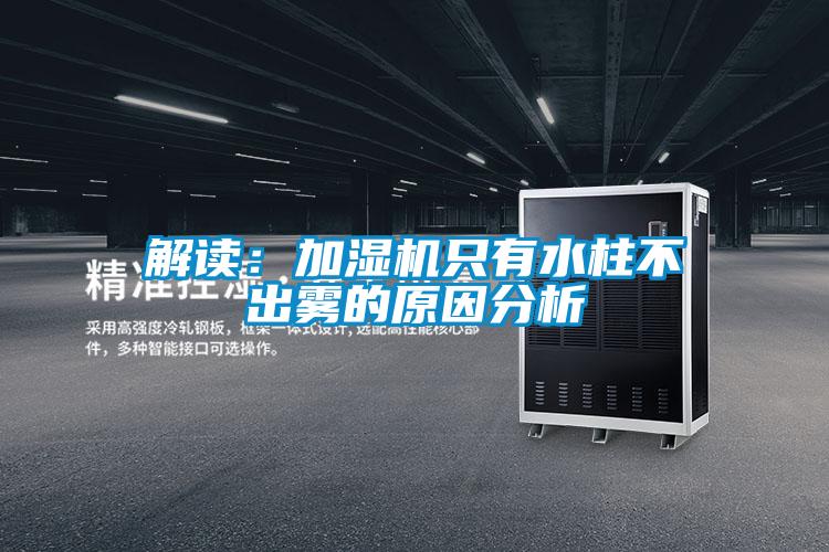 解讀：加濕機(jī)只有水柱不出霧的原因分析