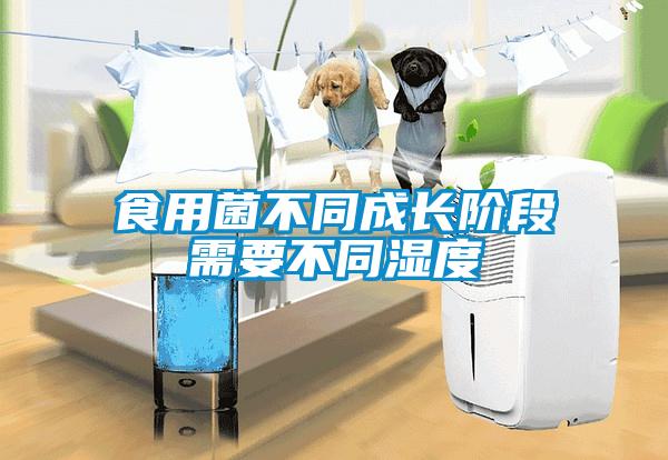 食用菌不同成長(zhǎng)階段需要不同濕度