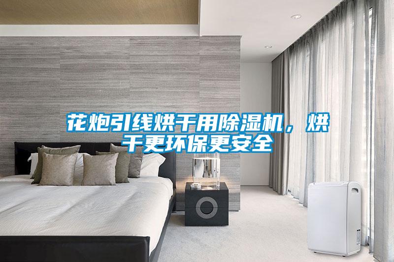 花炮引線烘干用除濕機，烘干更環保更安全